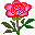 Radis en forme de fleur 822701